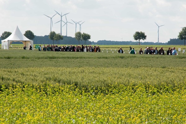 Intensive exchange between farmers and advisors on field day in Borwede, Lower Saxony. Photo: LWK
