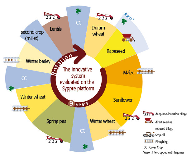 Graph showing the typical rotation in the Berry region: rapeseed – soft wheat – winter barley.