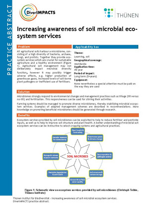 First page of the practice abstract