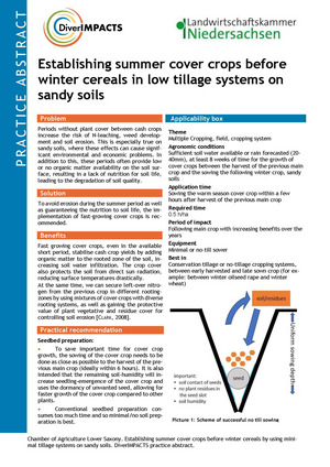 First page of the practice abstract