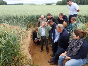 A group of people standing in a path within a cereal field.