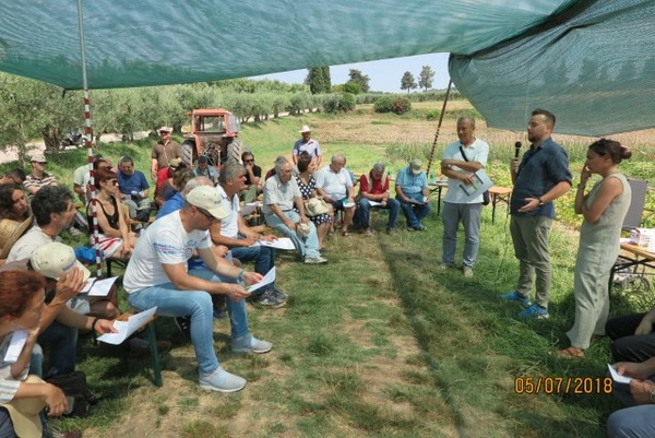 People in field listening to presentation