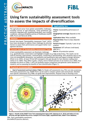 First page of the practice abstract