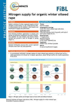 First page of the practice abstract