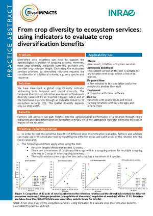 First page of the practice abstract