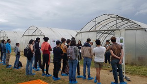 Diversification day organised by the INRAE agroecological vegetable systems experimental facility on May 24 2022