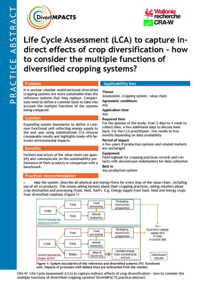 First page of the practice abstract