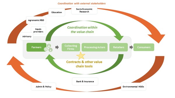 Value chain in crop diversification