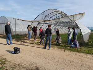 Presentation of an example of using the ROTAT tool to facilitate the design of vegetable rotations including cover crops