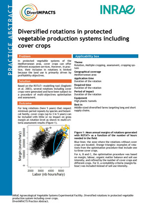 First page of the practice abstract