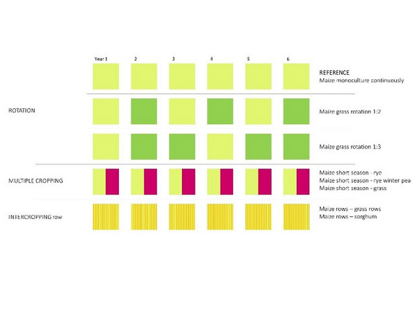 The design of Field Experiment 1 in the Netherlands