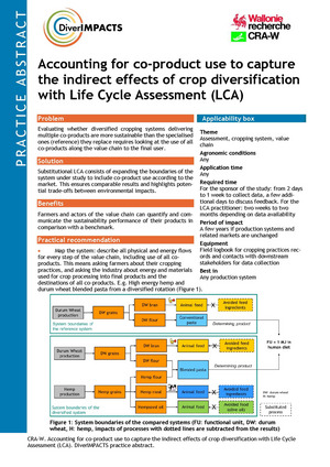 First page of the practice abstract