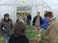 A group of people standing in front of a greenhouse around boxes with scallions