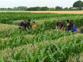 Six people visiting the trial