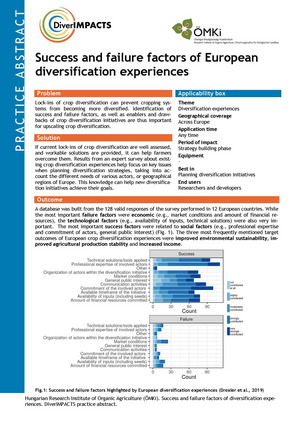 First page of the practice abstract